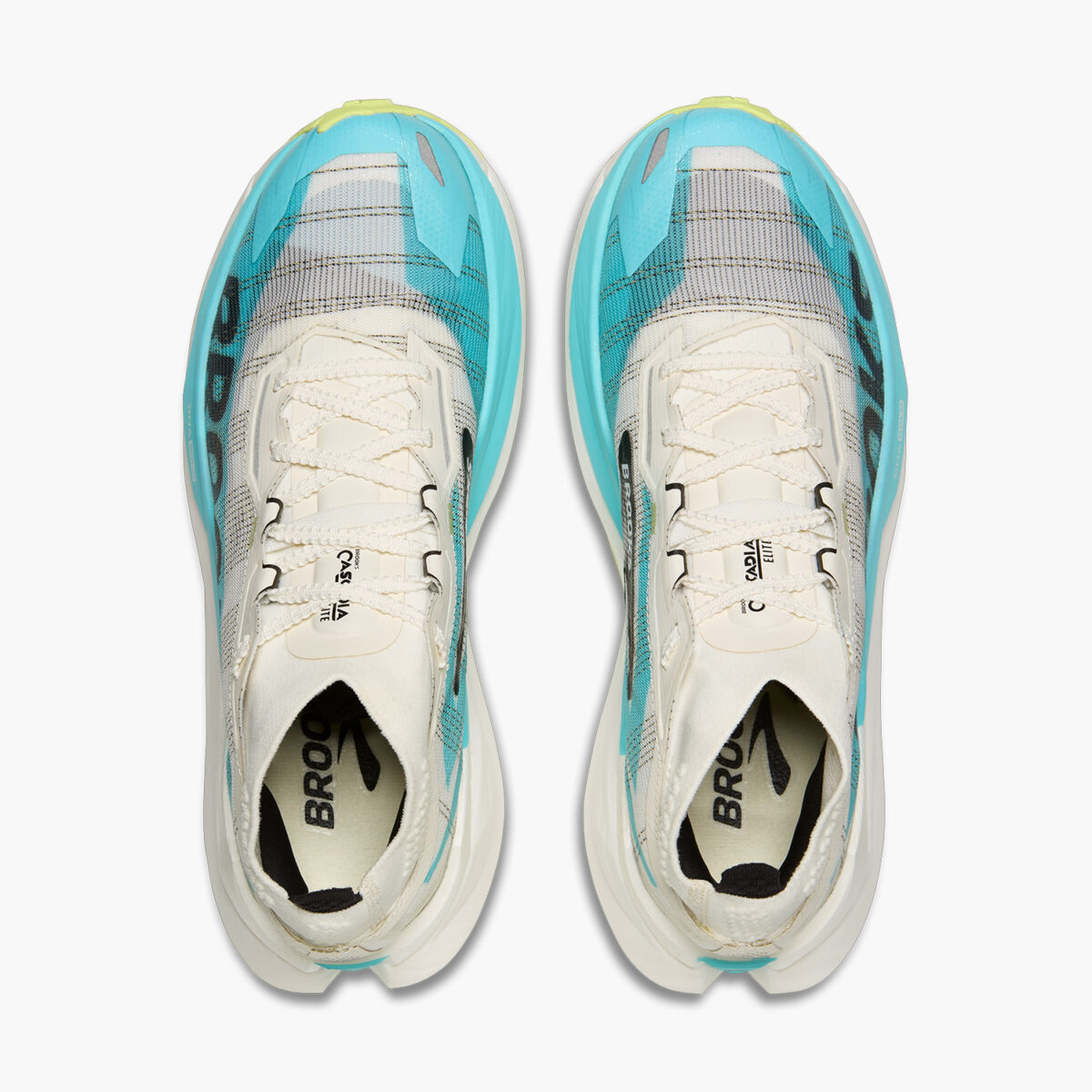 Cascadia Elite - Image 3