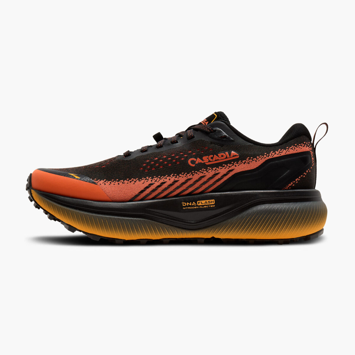 Cascadia 20 - Image 4